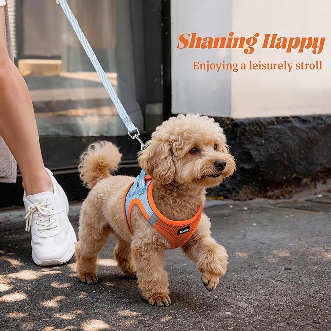 YIMEIS Dog Harness and Leash Set, No Pull Soft Mesh Pet Harness, Reflective Adjustable Puppy Vest for Small Medium Large Dogs, Cats (Orangeblue, X-Small (Pack of 1)