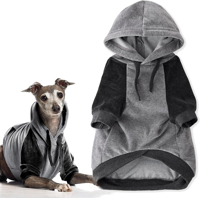 Pet Passion Cooper II Organic Cotton Velour Dog Hoodie Pet Coat for Small, Medium and Large Dogs, Heather Gray Color Block, XXX-Small (up to 5lbs)