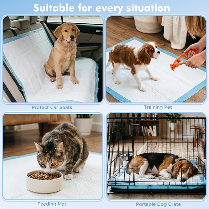 Puppy Pads XXXL 31"x 55" 40 Count,Pee Pads for Large Dogs & Multi-pet Families, Disposable Pet Training Pads for Doggie,Cat , Incontinence Underpads Ultra Absorbent & Quick-Dry, Leakproof Potty Pad