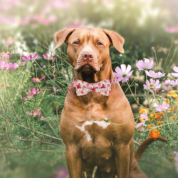 ADOGGYGO Floral Dog Collar with Bow, Red Pink Rose Flower Bow, Metal Buckle, Adjustable Floral Collars for Extra Large Dogs (X-Large)