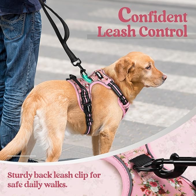 rabbitgoo Dog Harness No Pull with 2 Leash Clips, Adjustable Soft Padded, Reflective Oxford No Choke Pet Vest with Easy Control Handle for Medium Sized Dogs, Pink Rose, M