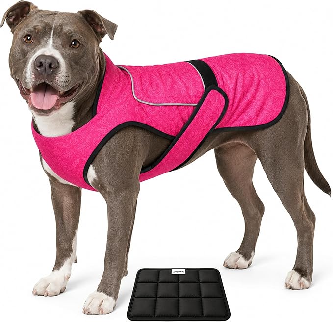 Dog Cooling Vest with Ice Pack – 2-Layer Evaporative Cooling Jacket with High Collar, UV Protection & Size-Matched Ice Pack – Cooling Vest for Dogs for Hot Weather (Pink Floral, Large)