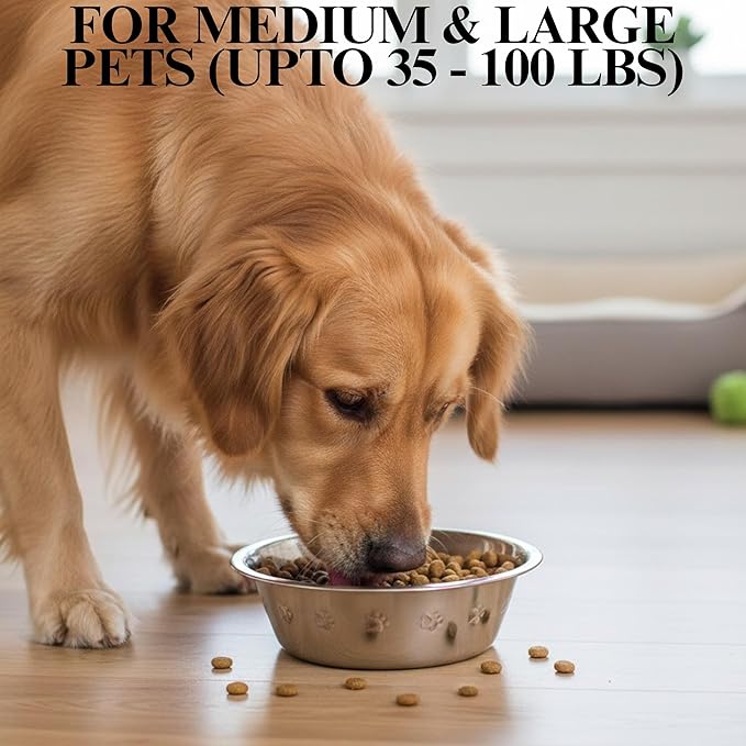 2-Pack Stainless Steel Dog Bowls 8 Cups (1.9L), Durable Metal Embossed Pet Food & Water Dish for Medium to Large Dogs – Rust-Resistant