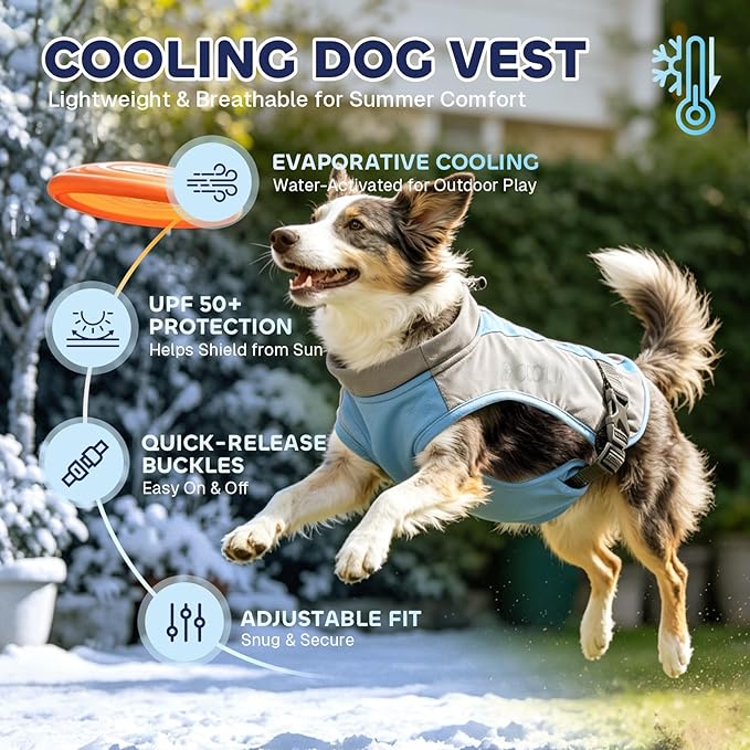 Mora Pets Dog Cooling Vest for Summer Lightweight Breathable UPF 50 Sun Protection Evaporative Cooling Adjustable Fit with Hidden Leash Access for Small Medium Large Dogs Light Gray Blue XL
