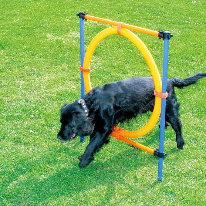 PAWISE Dog Agility Training Equipment,Puppy Agility Kit with Jump Ring, Adjustable Hurdles & Weave Poles,Outdoor Dog Obstacle Course for Backyard,Park Training, Portable Dogg Exercise Set