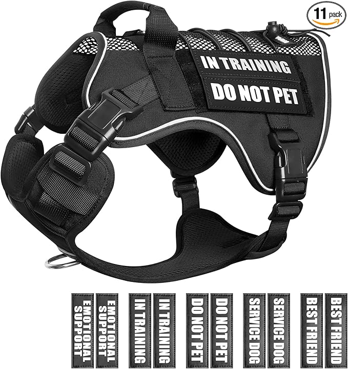 WINSEE Service Dog in Training Mesh Harness with 10 Pet Patches for Medium Dogs, Soft Air Mesh Breathable Tactical Dog Molle Vest, Reflective Military Pet Vest for Walking Hiking