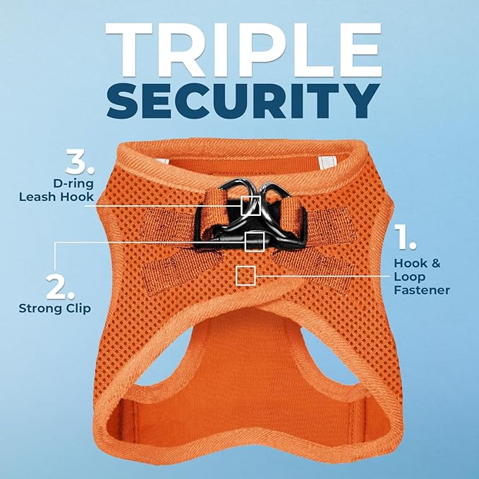 Best Pet Supplies Voyager Step-in Air All Weather Mesh Harness and Reflective Dog 5ft Leash Combo with Neoprene Handle, for Small, Medium and Large Breed Puppies - Set (Orange), X-Large