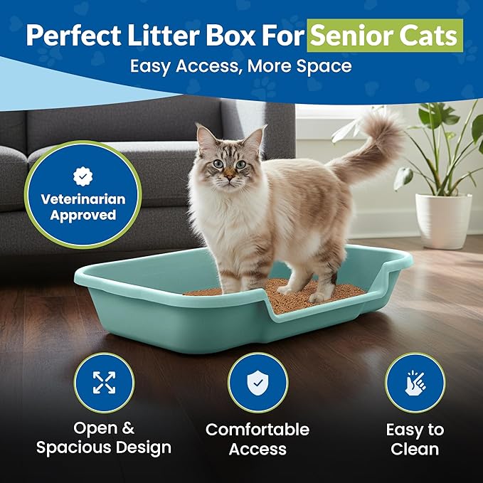 KittyGoHere Senior Cat Litter Box, Large Litter pan with Long-Handle Jumbo Scoop, Open Top Low Entrance Kitty Litter Box, Lightweight Low Entry Litters Box, Durable, Made in USA (Apple Green)