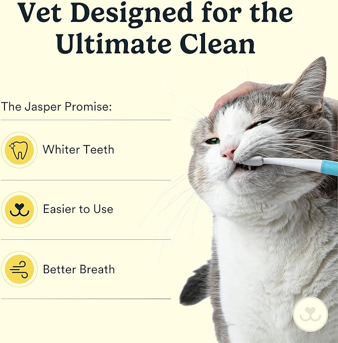 Jasper Microbrush Vet Approved Cat Toothbrush, Soft-Bristled Toothbrush Kit for Felines & Small Dogs, Non-Slip Handle, Tooth Brush Heads, Use with Cat Toothpaste, 4-Pack Blue