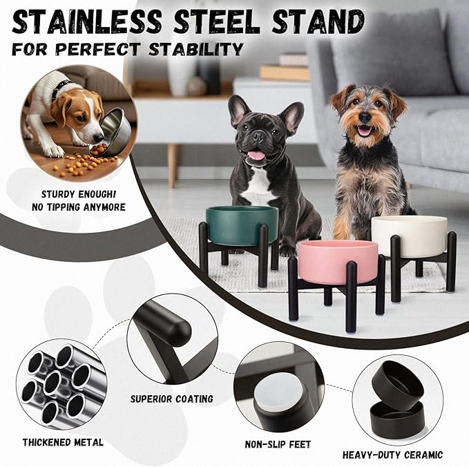 Raised Ceramic Dog Bowl, 6.1'' Modern Feeding Bowl with Non-Slip Stainless Steel Stand, Elevated Food or Water Dish for Small to Medium Dogs, 2 Cups (28.75 fl oz)- Black