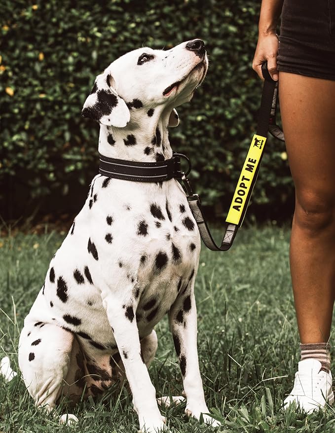 Tuff Pupper Waterproof Leash Sleeve | Fits Any Standard Size 1 Inch Wide Leash | Dual Sided Message | Durable Neoprene & Silicone | Odor & Stink Proof | Easy Secure On & Off (1 Pack, Adopt Me)