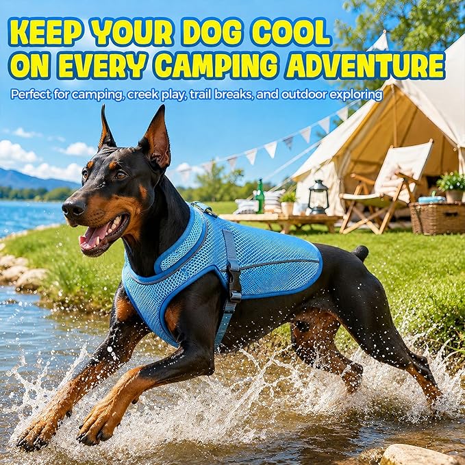 Dog Cooling Vest, Evaporative Cooling Dog Jacket with UV Protection, Lightweight Breathable Mesh Dog Cooling Shirt, Summer Heat Relief Gear with Adjustable Buckles for Hot Weather Walking & Hiking