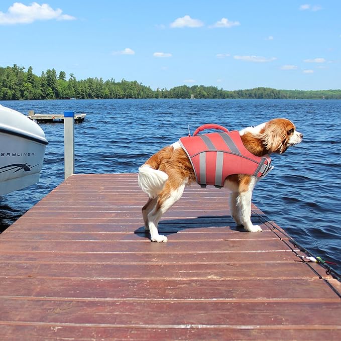Kuoser Dog Life Jacket with Reflective Stripes, Dog Life Vest for Swimming Boating, Adjustable Pet Lifejackets with High Flotation, Doggie Swimsuit for Small Medium Large Dogs