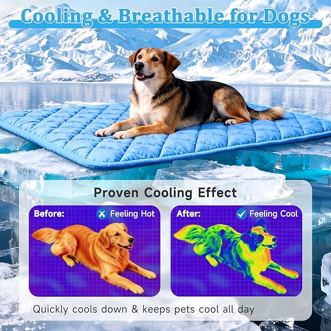 Cooling Blanket for Dogs, Dog Cooling Mat & Bed, Q-MAX>0.42- Lightweight, Durable & Breathable Pet Throw for Sofa, Car and Furniture Protector, Reversible Design, Easy to Clean, 22"x28", Blue