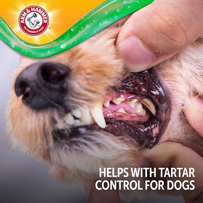 Arm & Hammer Complete Care Dental Gel Dog Toothbrush Kit, Includes Gel Toothpaste, Toothbrush, and Finger Brush, Baking Soda Enhanced, Fluoride Free, Chicken Flavor, 2.5 Oz