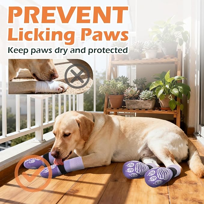 EXPAWLORER Anti Slip Dog Socks to Prevent Licking Paws, Dog Shoes for Hot Pavement, Dog Booties for Hardwood Floors, Dog Boots & Paw Protectors with Grippers for Small Medium Large Senior Dogs XS