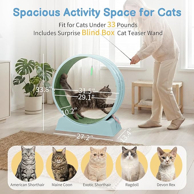 Outvita Cat Exercise Wheel for Indoor Cats, 31.5" Cat Treadmill with Detachable Carpet ＆ Locking Mechanism, Cats Running Wheel Helps Cats to Lose Weight and Keep Health, Easy Assembled (Blue)