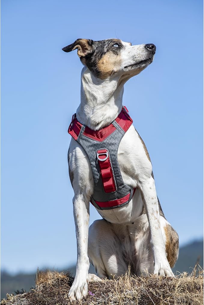Kurgo Journey Air Dog Harness - Secure Fit for Active Dogs - Padded Chest - Lightweight Ripstop Fabric - Breathable Mesh - Reflective Trim - Back Assist Handle - Red - Small