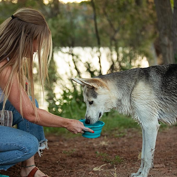 Messy Mutts Silicone Collapsible Bowl | Pet Travel Necessity | Portable Water or Food Dish | Pop Up Watering Bowl | Camping, Hiking, Walking Accessory | Large, 3 Cups | Blue