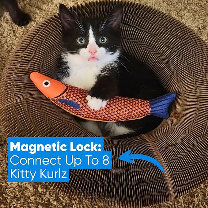 KITTY KURLZ Interactive Cat Toy with Rolling Ball, Shape-Shifting Cardboard Scratcher & Collapsible Scratch Pad Ring for Indoor Cats, Play, Lounge & Enrichment