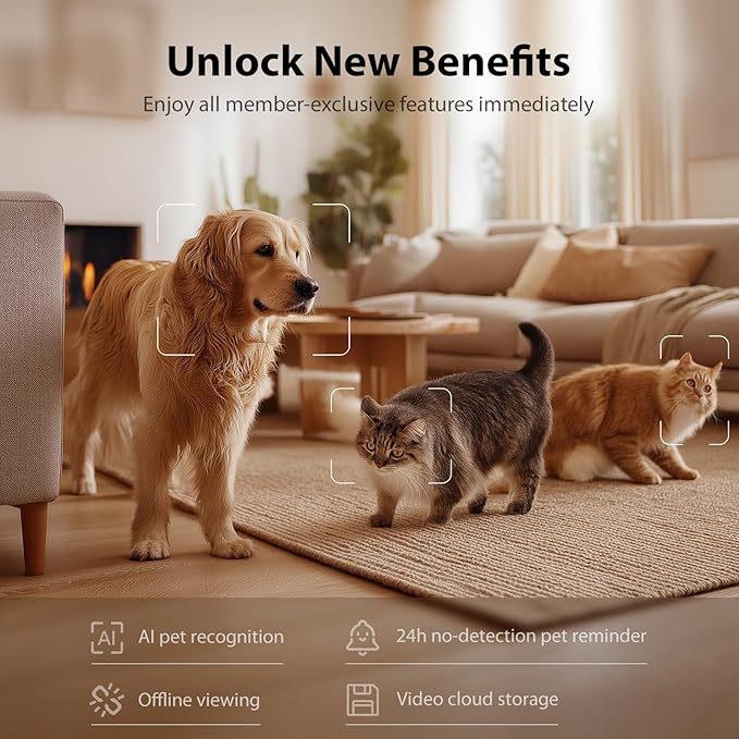 IMIPAW Automatic Cat Feeder with Camera and Water Fountain, HD AI Pet Recognition, APP Remote Control, Timed Food Dispenser, Two-Way Audio, Night Vision Function, 3L Fountains for Drinking with Filter