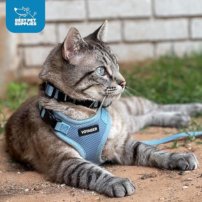 Best Pet Supplies Voyager Step-in Lock Pet Harness w Reflective Pet Leash Combo Set with Neoprene Handle 5ft - Supports Small, Medium and Large Breed Puppies/Cats - Turquoise Set, XS