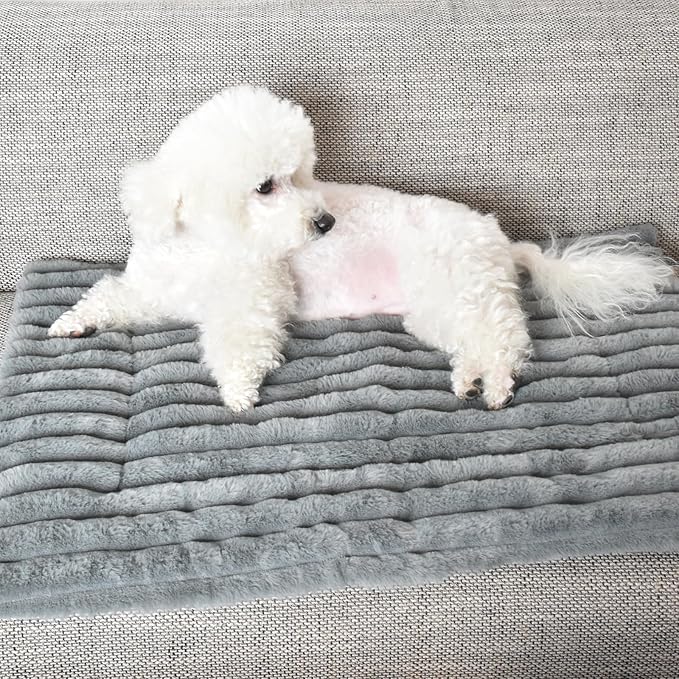 Pet Bed, Soft Corduroy Velvet Cover, Non-Slip Bottom, Cozy Self Warming Dog Bed, Plush Cat Bed, Warm Cat Mat, Comfortable & Pet-Friendly, for Indoor & Outdoor Use (M30''x20'', Grey)