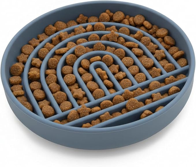 Should We Go? Slow Feeder for Dogs & Cats, The Slowdown Bowl Silicone Slow Eating Mealtime Solution with Modern Lick Mat Design, Reduces Gulping, Fits 1 Cup, 6” Across x 1.25” Tall, Small-Ocean
