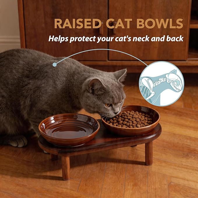 Havniva Elevated Cat Bowls Raised Ceramic Cat Bowl, 5.9” Wide Opening Cat Food Bowl Whisker Friendly Cat Dish Anti-Slip with Wood Stand, Shallow Pet Food & Water Bowl for Indoor Cats