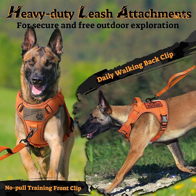 rabbitgoo Tactical Dog Harness for Small Dogs No Pull Adjustable Military Vest with Handle MOLLE Reflective Heavy Duty Dog Vest for Walking Training Hunting Outdoor Working Medium Size Dog Orange S