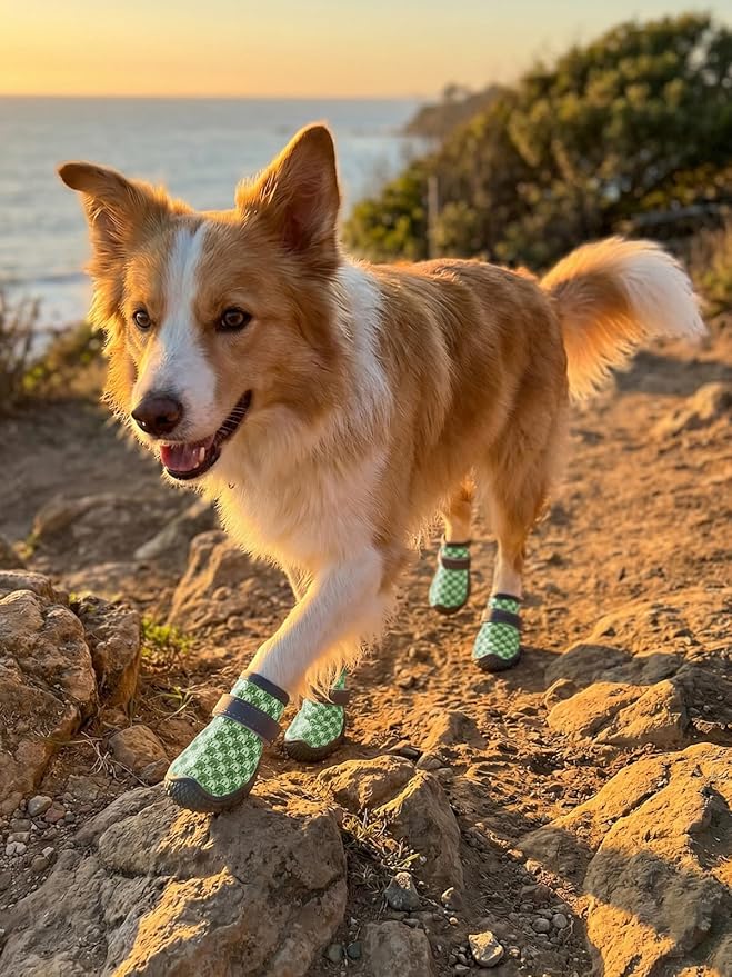 Dog Shoes Breathable Non-Slip Outdoor Booties for Small Medium Dogs, Pet Boots Paw Protector for Hot Pavement Hardwood Floors (Green, Large)