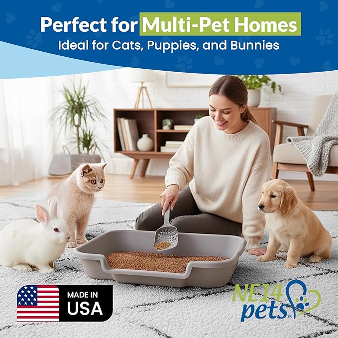 KittyGoHere Senior Cat Litter Box, Large Litter pan with Long-Handle Jumbo Scoop, Open Top Low Entrance Kitty Litter Box, Lightweight Low Entry Litters Box, Durable, Made in USA (2 Pack - Misty Gray)