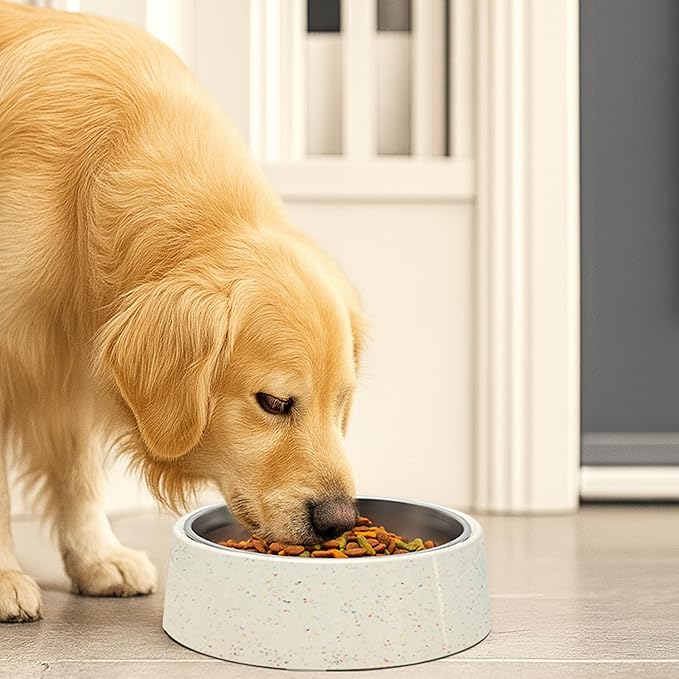 bzyoo 32oz 4CUP Dog & Cat Bowl, Sprinkle Design, Hygienic 304 Stainless Steel Pet Bowl with Removable Inner Bowl, Non-Slip Silicone Base, Dishwasher Safe, for Dry/Wet/Raw Food & Water (White)