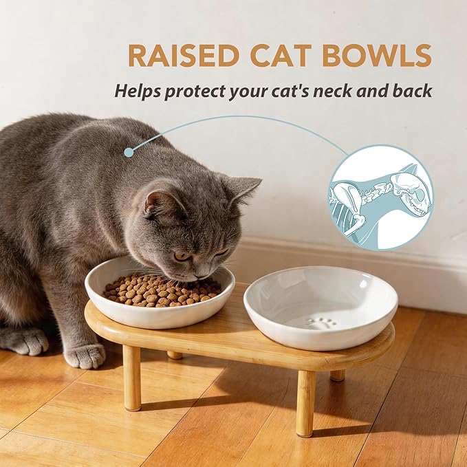 Havniva Elevated Cat Bowls Raised Ceramic Cat Bowl, 5.9” Wide Opening Cat Food Bowl Whisker Friendly Cat Dish Anti-Slip with Bamboo Stand, Shallow Pet Food & Water Bowl for Indoor Cats