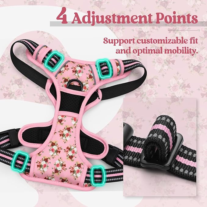 rabbitgoo Dog Harness No Pull with 2 Leash Clips, Adjustable Soft Padded, Reflective Oxford No Choke Pet Vest with Easy Control Handle for Small Dogs, Pink Rose, S