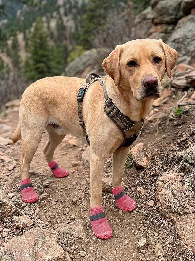 Dog Shoes Breathable Non-Slip Outdoor Booties for Small Medium Dogs, Pet Boots Paw Protector for Hot Pavement Hardwood Floors (Pink, Small)