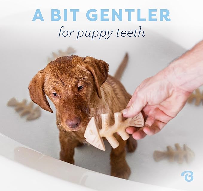 Benebone Puppy 4- Pack Durable Dog Chew Toys for Gentle Chewers, Made in USA, Small