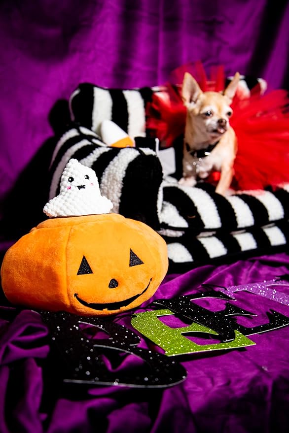 Glow Pups Halloween Hide and Seek Dog Toys, Crinkle Jack O Lantern with 4 Plush Squeak Toys, Durable Rope Handle, Interactive, Orange Halloween Pumpkin