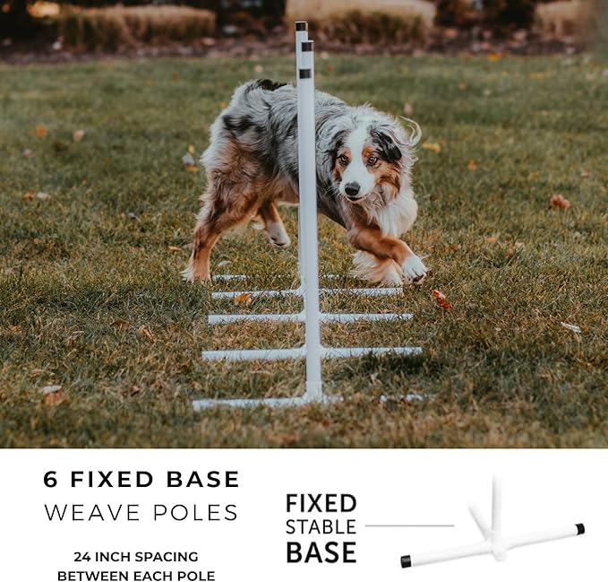 Better Sporting Dogs Elite Agility Set for Dogs w/Safety-Focused Features | 7Pc Agility Kit | (2) Bar Jumps w/Cup Strips | Breakaway Tire Jump | 6 Weave Poles | (2) 10’ Tunnel & Sandbags | Pause Box