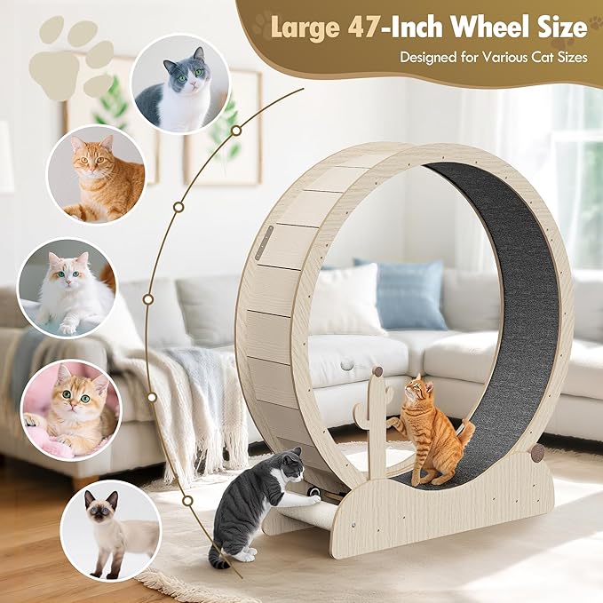 ZENY Cat Exercise Wheel, 47inch Cat Treadmill for Indoor Cats, Cats Running Wheel with Updated Enhanced Base and Carpeted Runway for Cat's Fitness