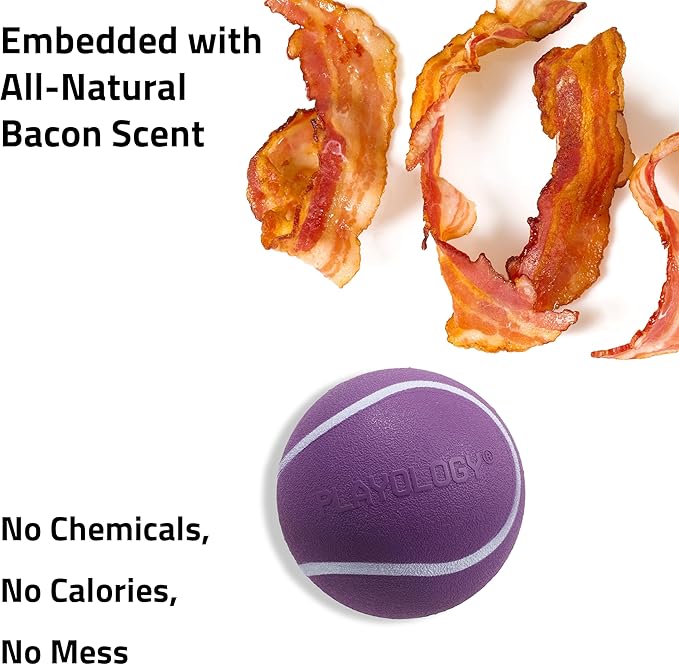 Playology Dog Toys | Squeaky Chew Ball for Dogs | Bacon Scented Medium Dog Ball | Bouncy Floating Chew Toys for Fetch