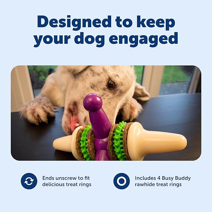 PetSafe Premier Busy Buddy Jack Pet Toy, Large