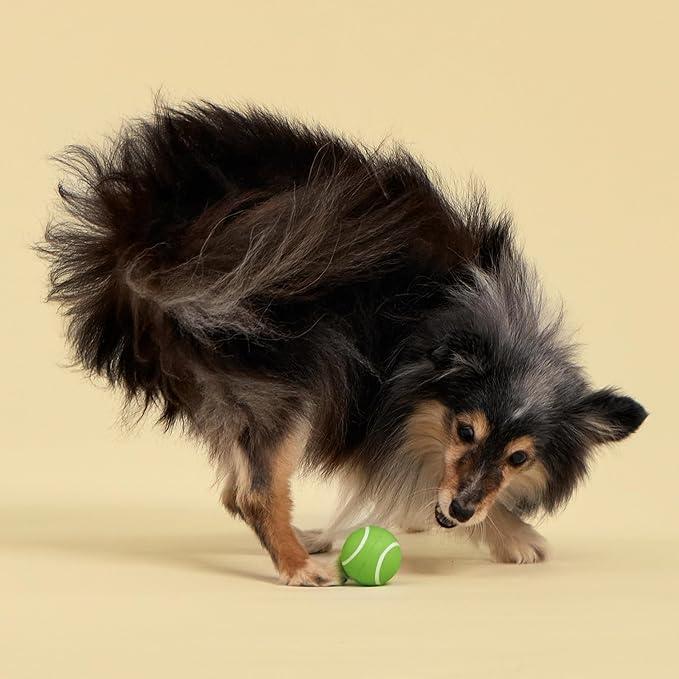 Playology Dog Toys | Squeaky Chew Ball for Dogs, Value 3-Pack | Sweet Potato Scented Small Dog Balls | Bouncy Floating Chew Toys for Fetch