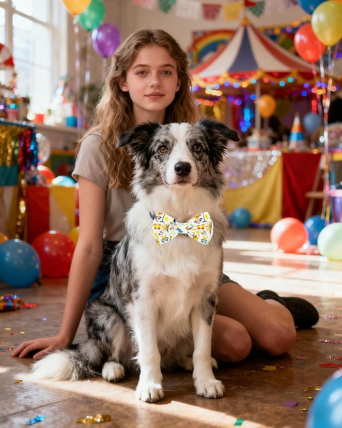PET SHOW 10 Pack Mardi Gras Big Dog Bow Ties Sliding Collar Attachment Pet Bowties for Medium Large Dogs Holiday Party Bowknots Collar Charms Grooming Accessories