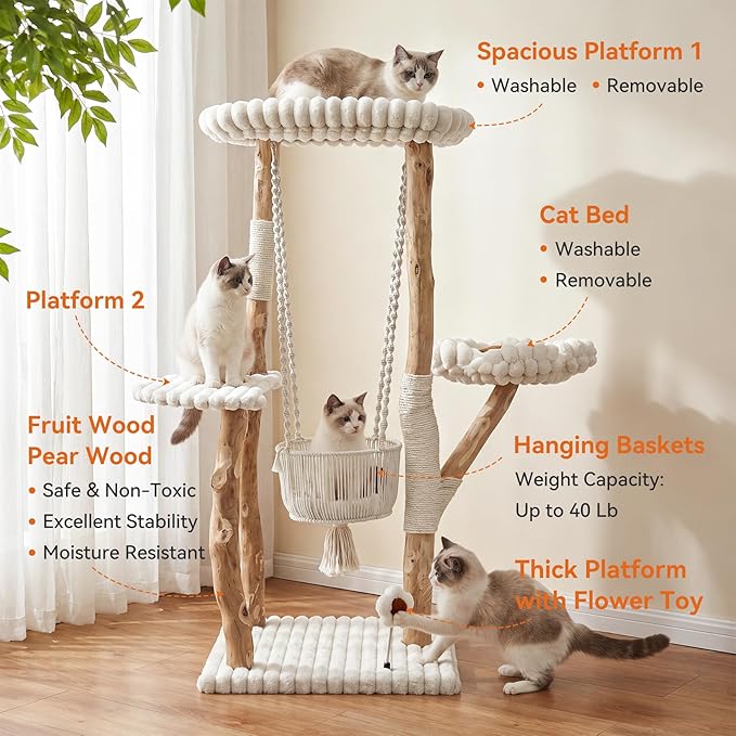 Solid Wood Cat Tree with Scratching Posts, 52 Inch Tall Cat Tower with Swinging Basket Hammock, Washable Cushion, Dangling Toy, Wood Climbing Cat Tree for Indoor Multi-Cats, Easy Assembly