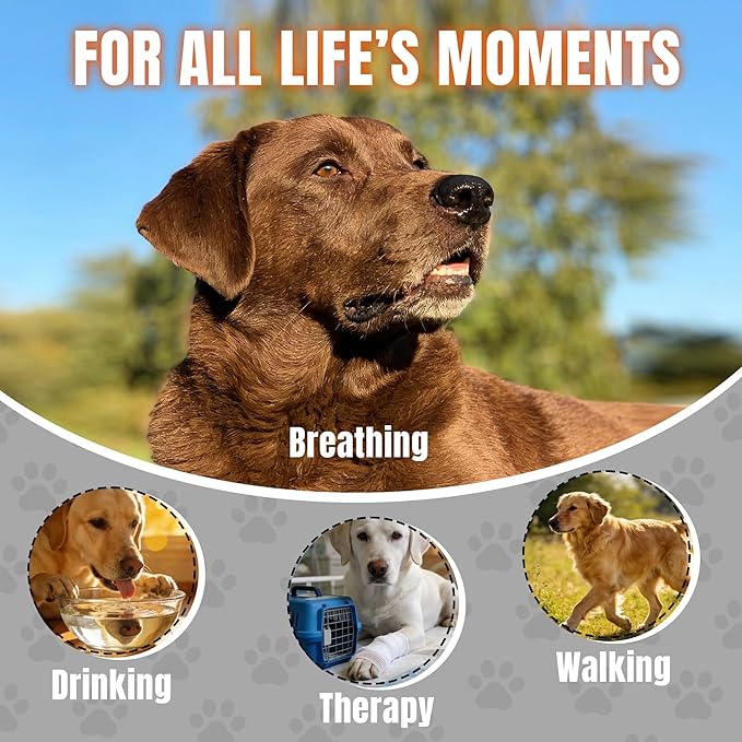 Dog Basket Muzzle Set, 6 Sizes XS-XXL for Small Medium Large Dogs, Breathable Mesh and Soft Nylon, Adjustable Overhead Strap, Helps Reduce Biting Scavenging and Chewing for Walking Grooming Training