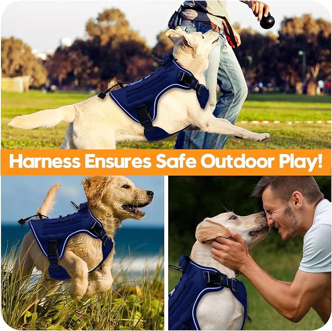 Heavy-Duty Tactical Dog Harness for Large Dogs, No Pull Adjustable Reflective Pet Vest with Molle System, K9 Military-Grade Control for Service Training, Outdoor & 10+ Breeds, Dazzling Blue, XX-Large