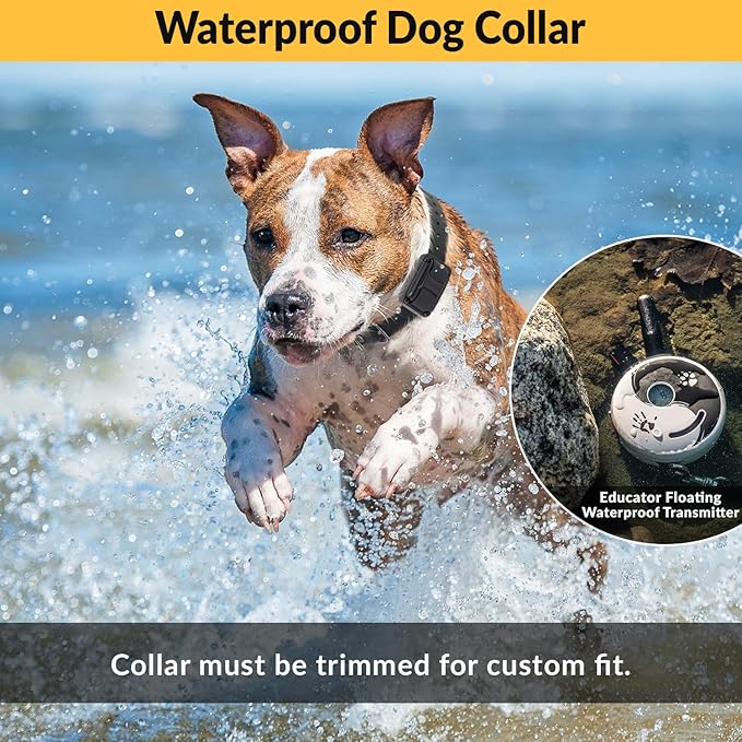 E-Collar Mini Educator ET-300 Remote Dog Training Collar – 1/2 Mile Range, Waterproof & Rechargeable, 100 Levels + Vibration + Tone + Light, For 1 Dog Small to Medium, Zen