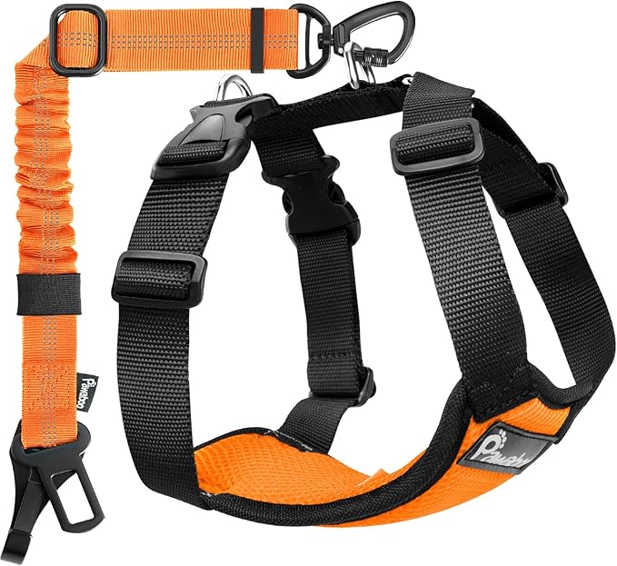Pawaboo Dog Seat Belt Harness for Car, Dog Car Harness Seatbelt with Double Clips, Adjustable Breathable Pet Vest & Dogs Safety Tether with Elastic Bungee for Small Medium Large Pet, XXL, Orange/Black