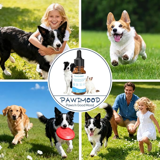 2 Pack No-Rinse Coat Care Essence for Dogs & Cats | Includes Fine Mist Spray Bottle (60ml/2oz Refillable) to Nourish & Shine | Conditioning Formula Soothes Skin, Pomegranate Scent (Pink)